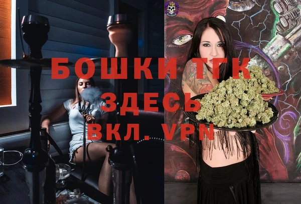 эйфоретик Аркадак