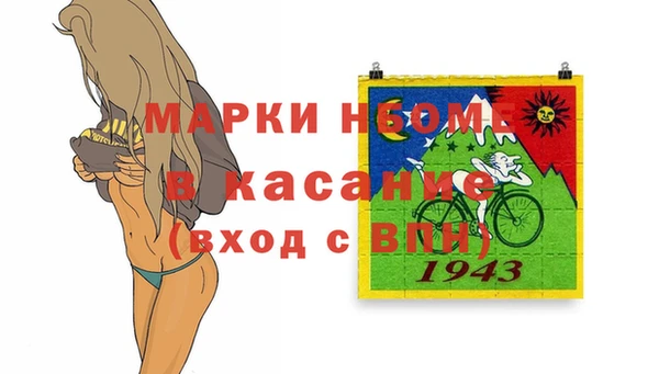 твердый Арсеньев