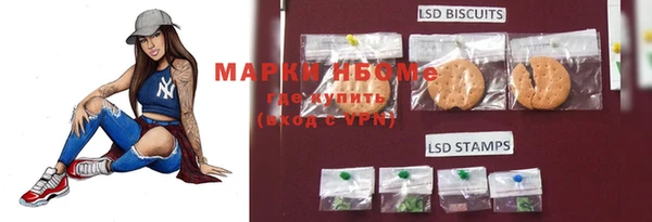 эйфоретик Аркадак