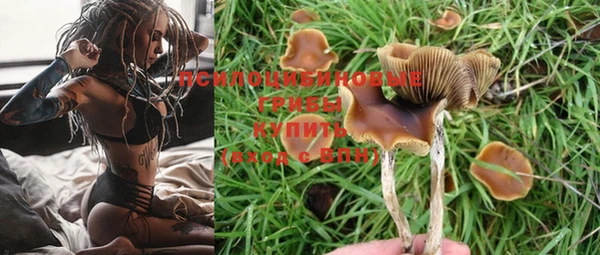 твердый Арсеньев
