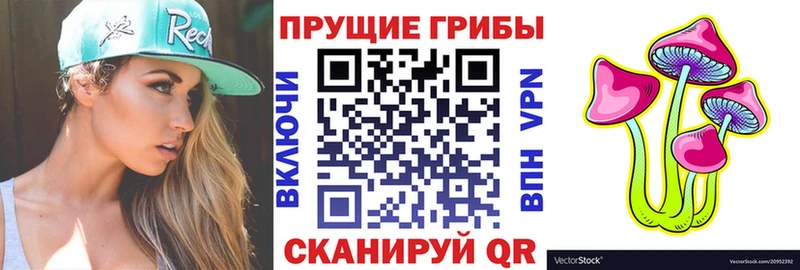 Псилоцибиновые грибы Magic Shrooms  Удомля 